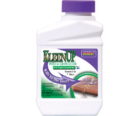 Kleenup 16oz Con