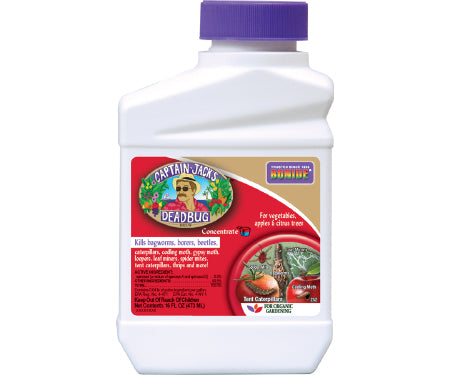 Captain jack deadbug 16oz con
