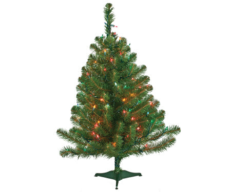 2ft norway spruce 50 multi