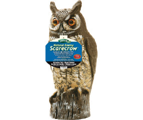 Owl 16'