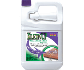 Kleenup 1Gal Rtu