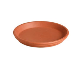 Saucer 8.3' TC