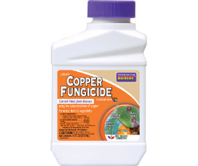 Liquid Copper Conc 16oz