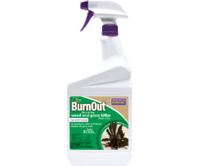 Burnout Org wd klr 32oz Rtu