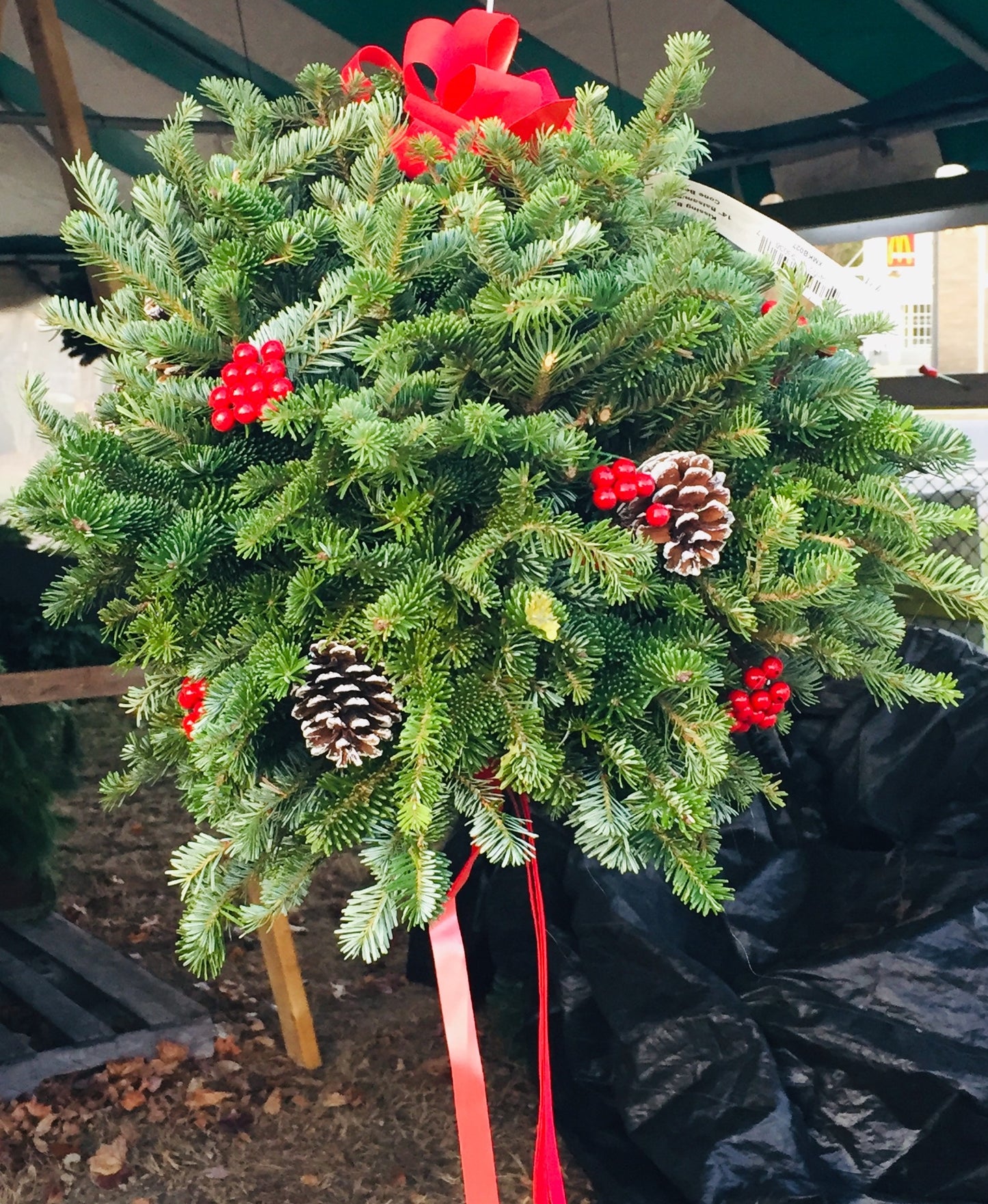 Fraser Fir Dec W/ Cones