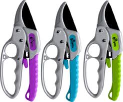 Splash Rachet Pruner