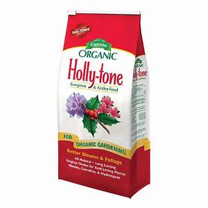 Holly Tone 18lb