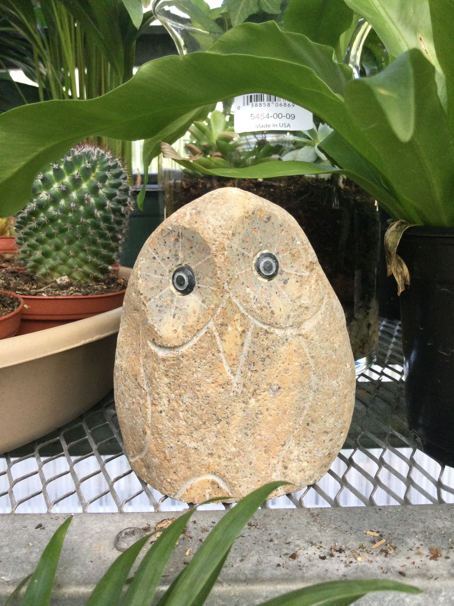 granite owl 4"