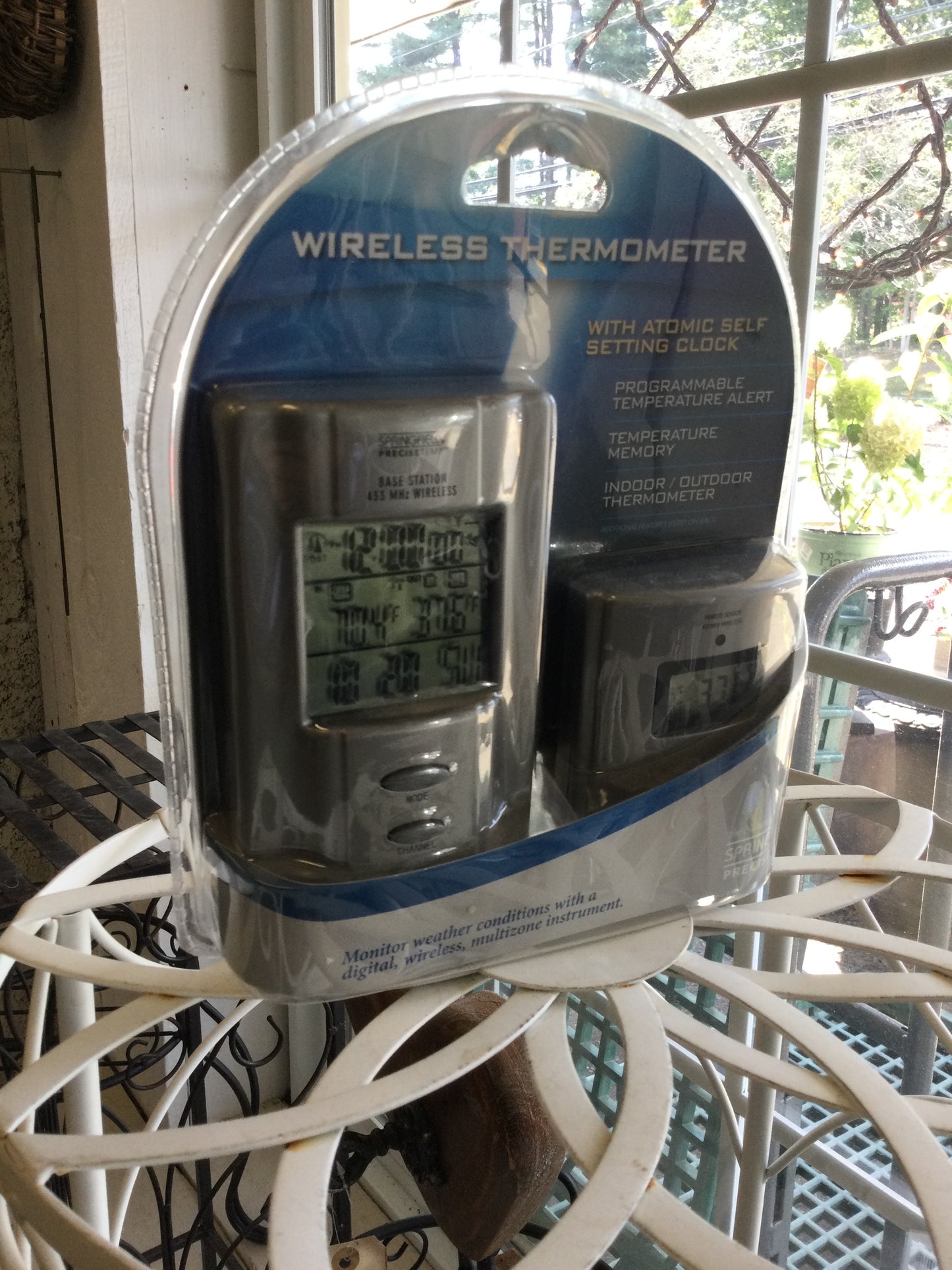 Wireless Thermometer