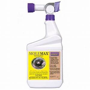 MOLEMAX RTS QT
