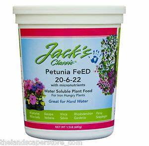 Jack Petunia 1.5lb
