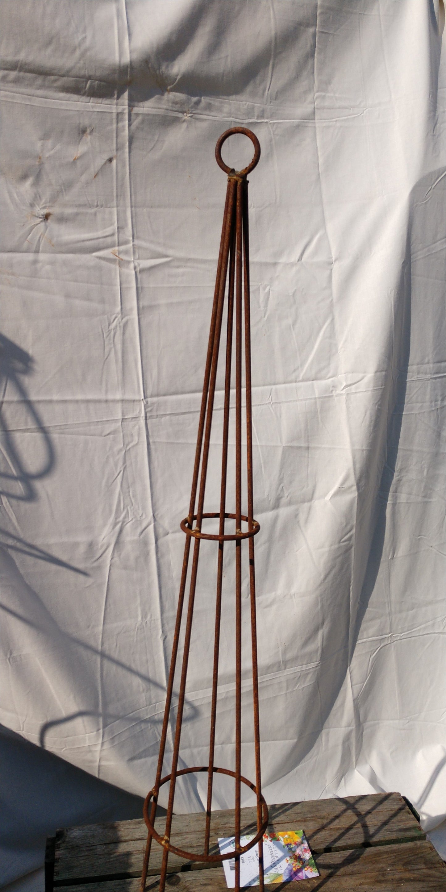 Sm Cone