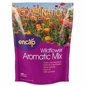 wf/aromatic mix 2lb