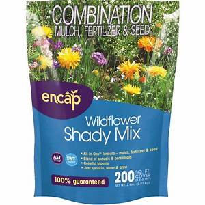 Wldflwr shady 2lb