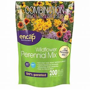 wf perennial mix 2lbs