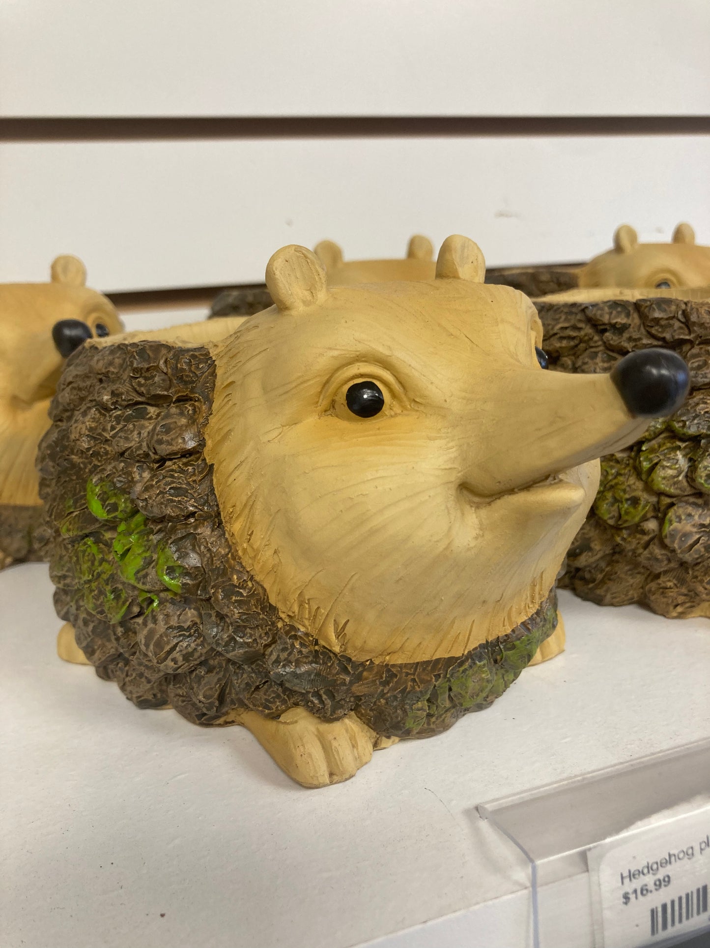 Hedgehog planter resin