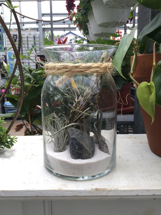 Planted Terrarium w/4 plants