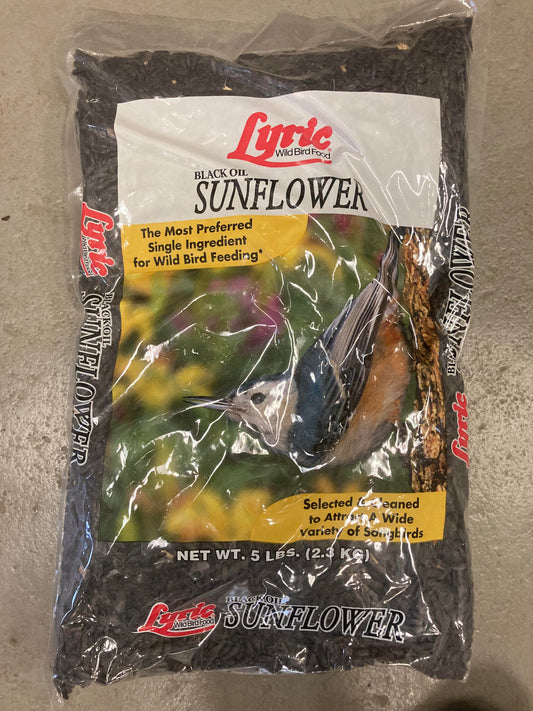 Black oil sunflower 5lb bag