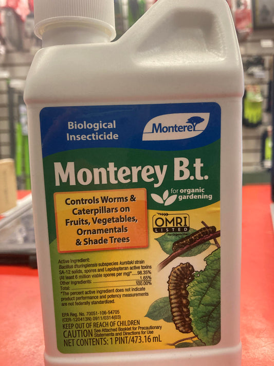 Monterey BT con 1pt