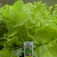 3pk, 4Pk & 6pk veggies