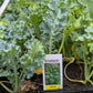 3pk, 4Pk & 6pk veggies