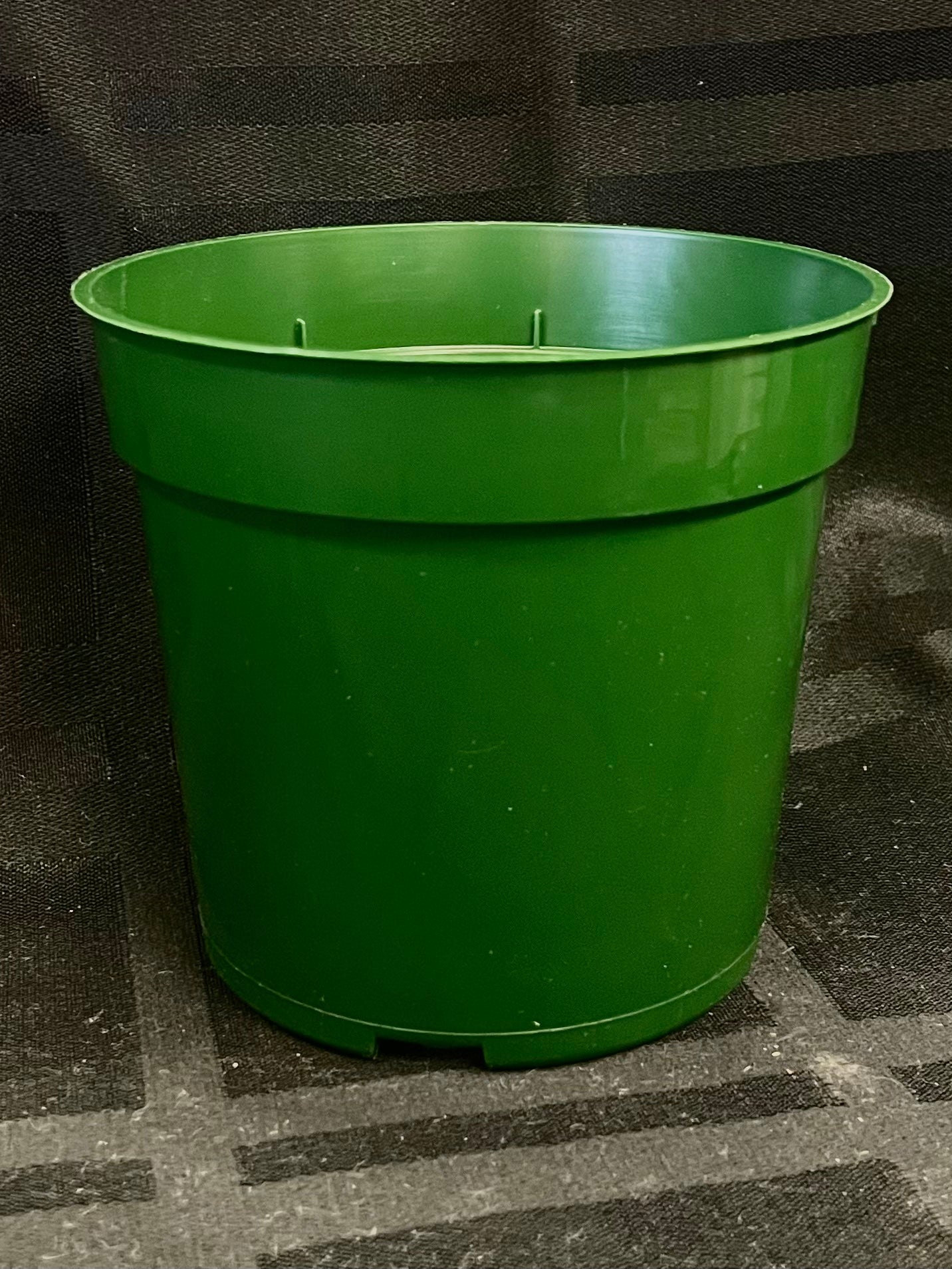 4" round pot green