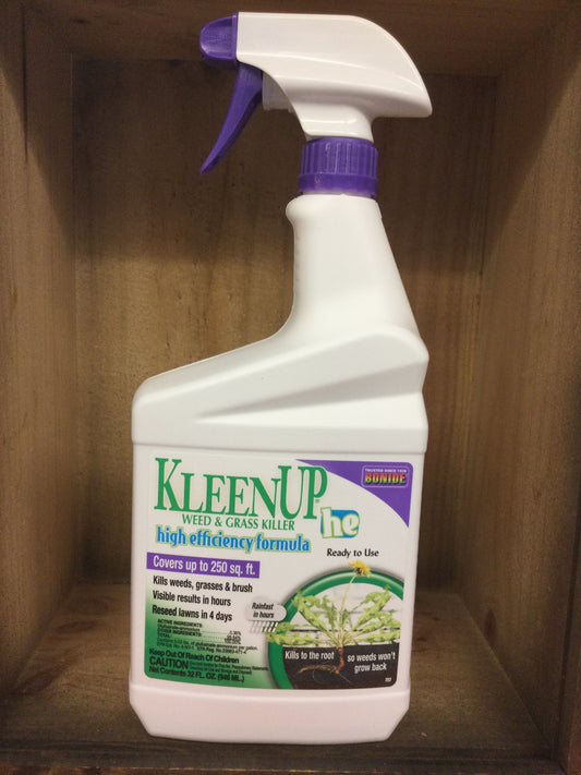 Kleenup HE 32oz rtu