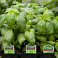 3.5' Basil Genovese