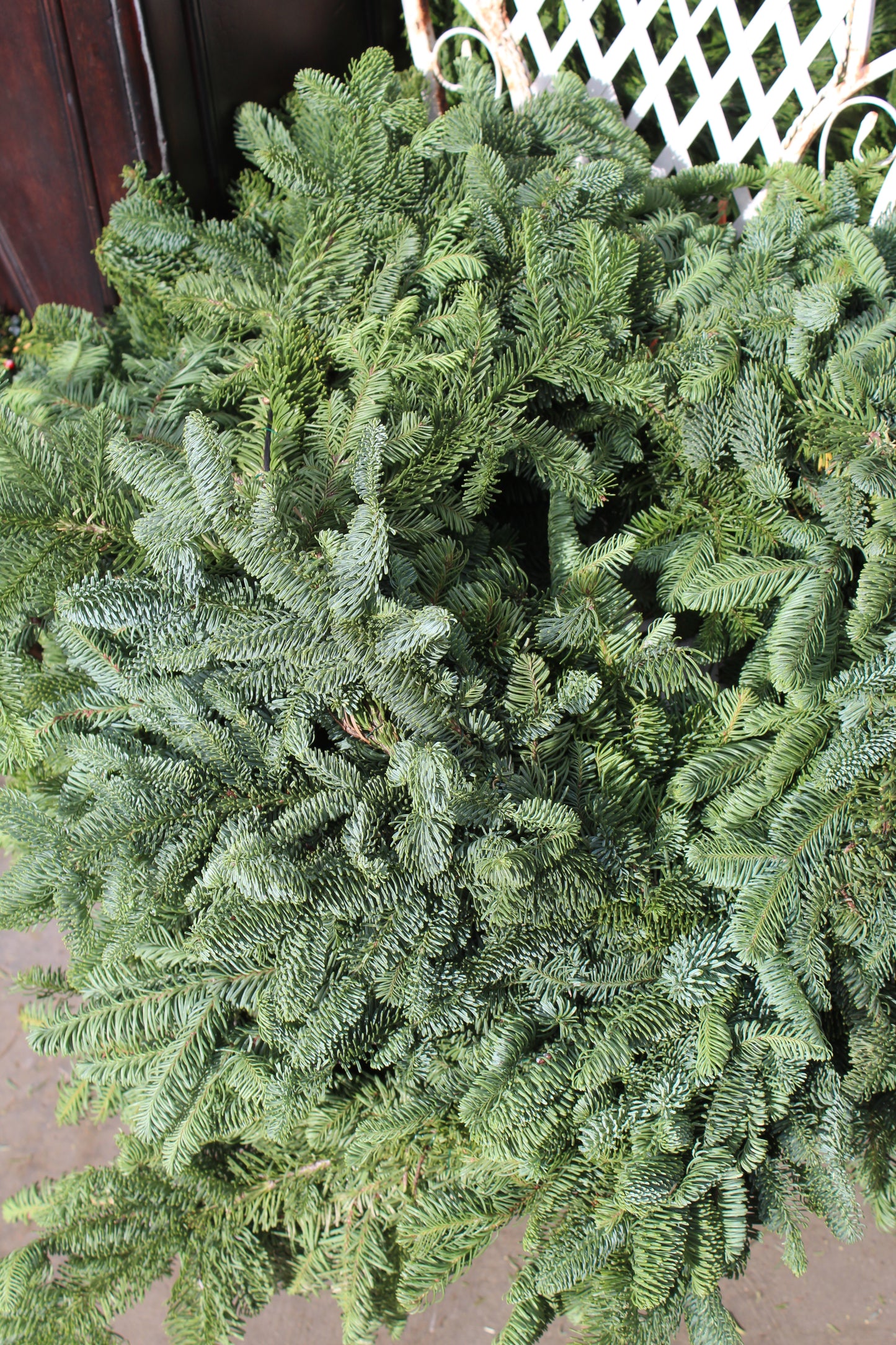 Noble Fir Garland 25ft