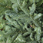 Noble Fir Garland 25ft