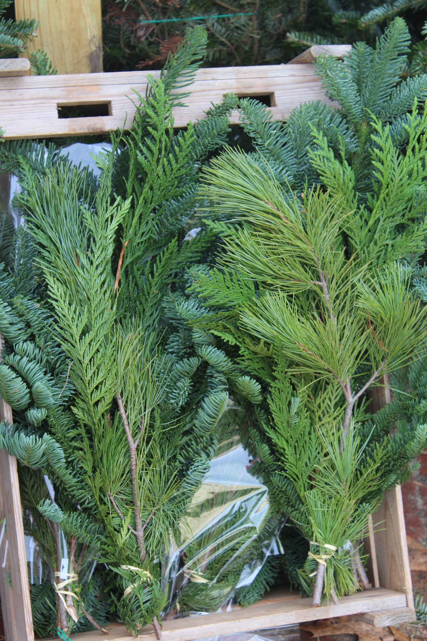 Evergreen Bouquet Bunch