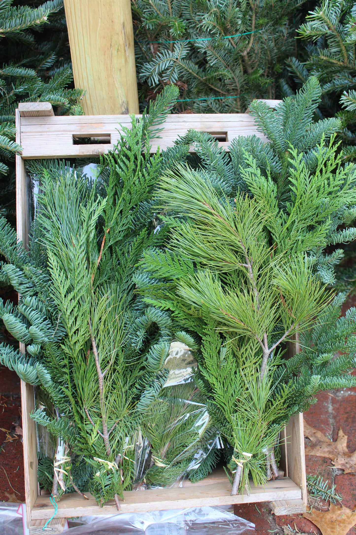 Evergreen Bouquet Bunch