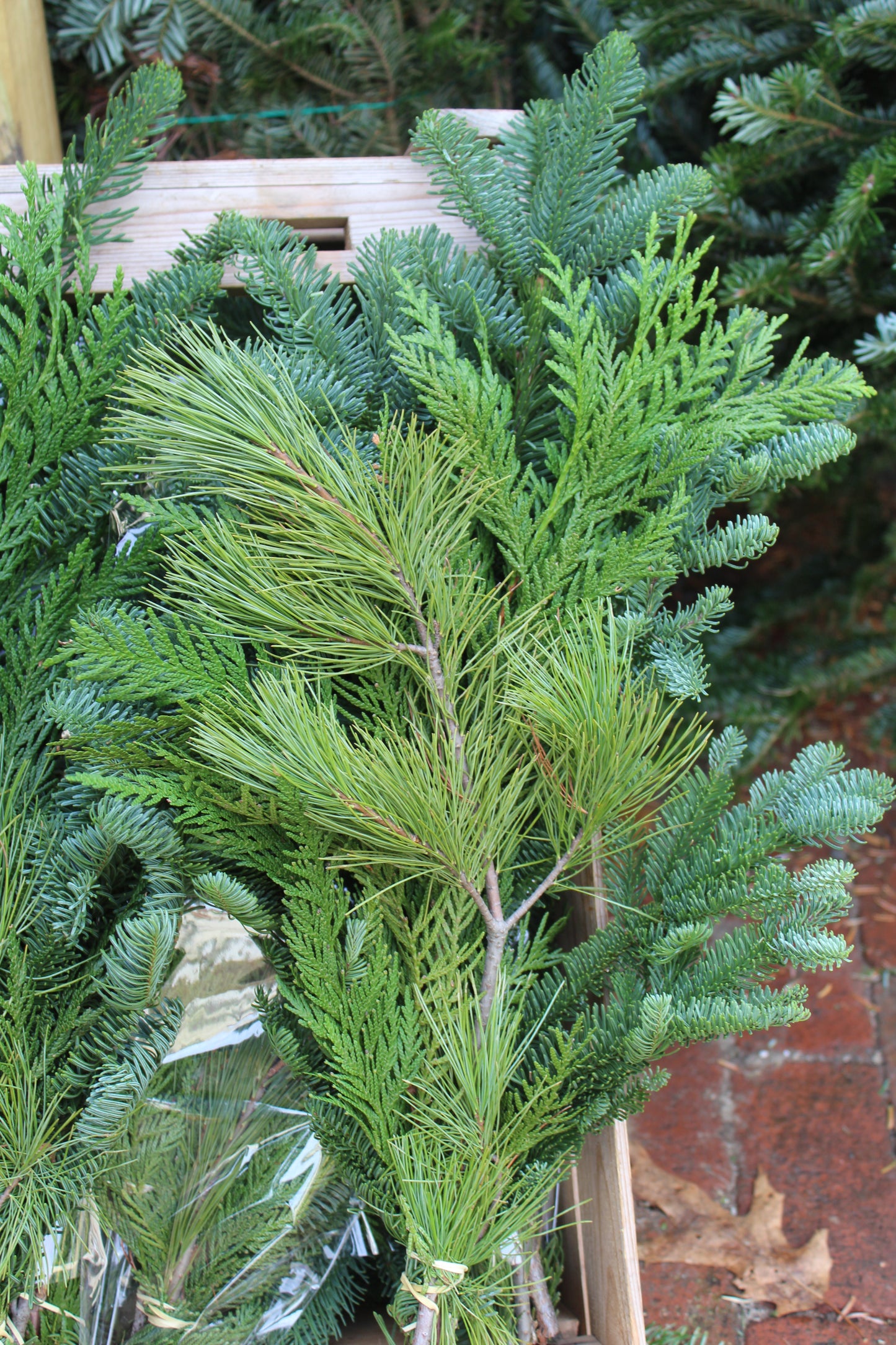 Evergreen Bouquet Bunch