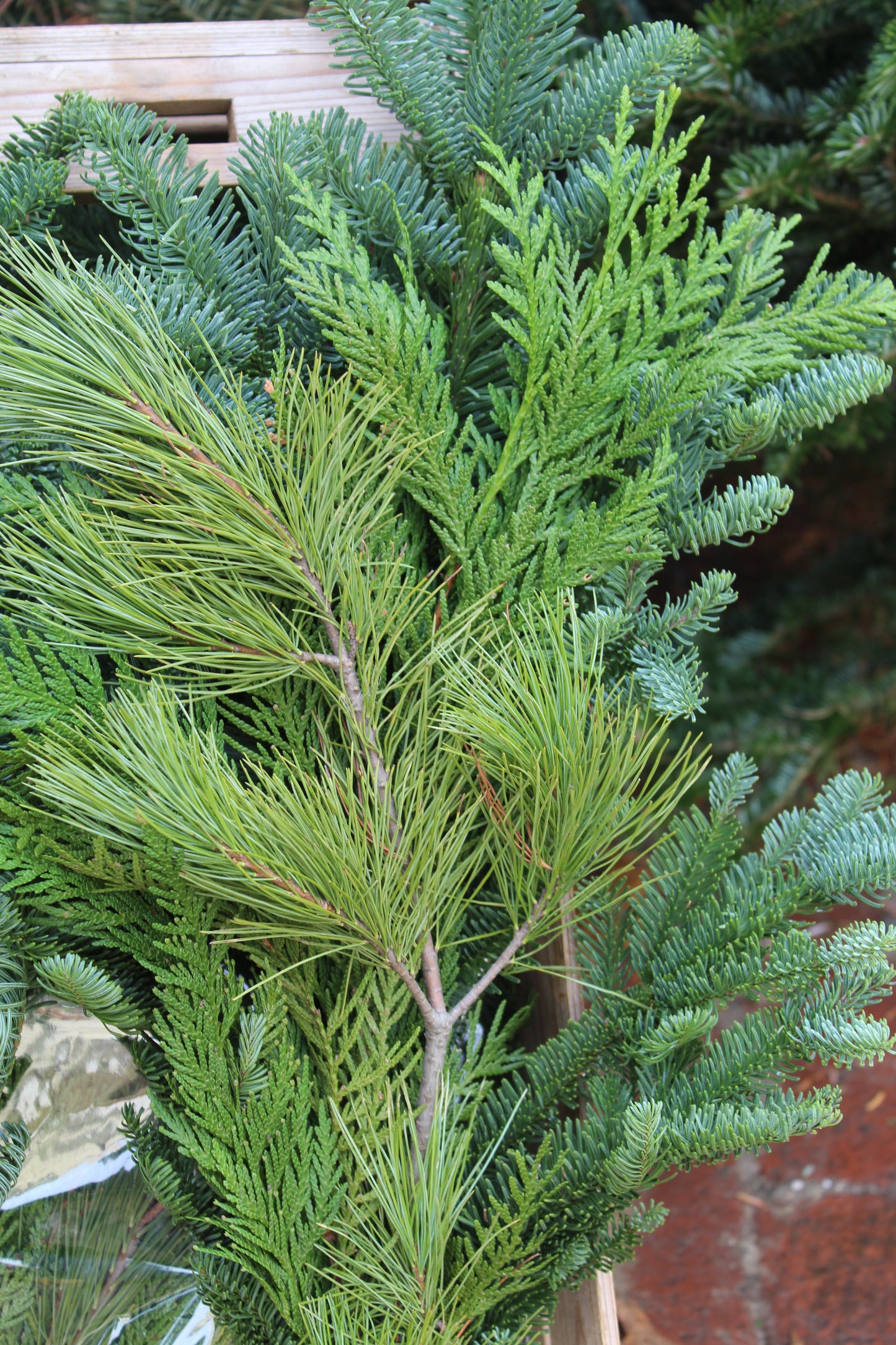 Evergreen Bouquet Bunch