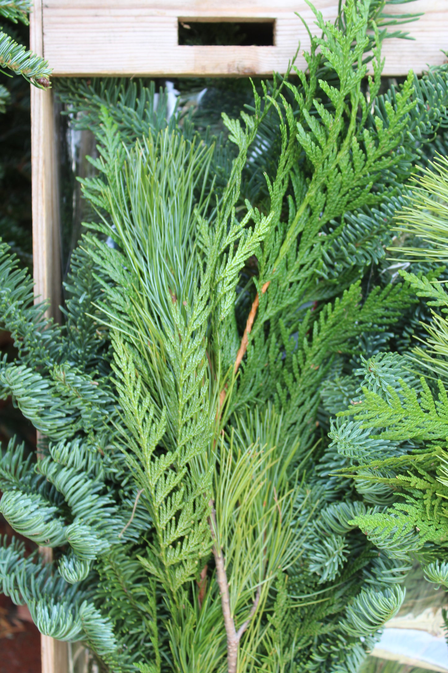 Evergreen Bouquet Bunch