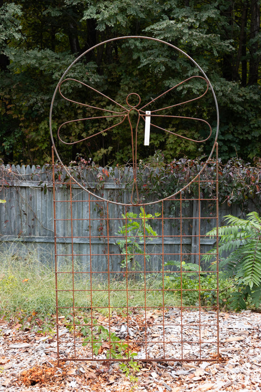 Dragonfly Trellis