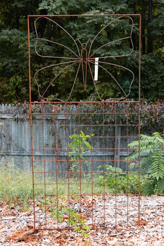 Butterfly Trellis