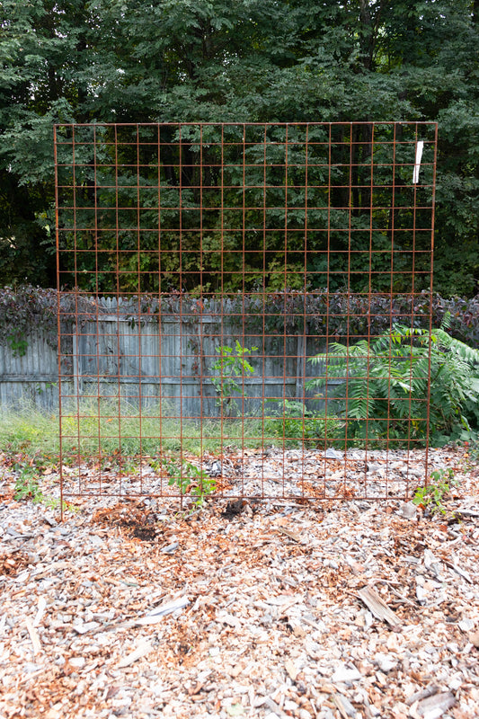 flat top trellis 66