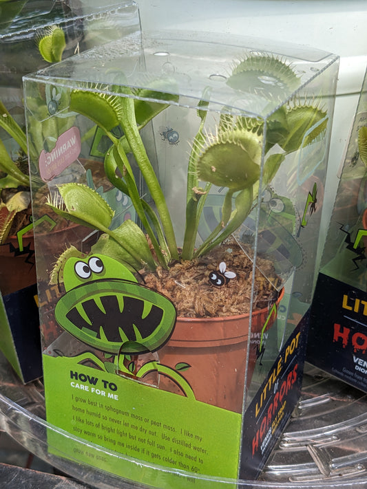 Venus fly trap