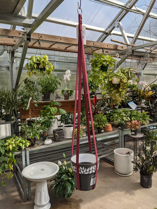 Asst. Decorative Plant Hanger 36"