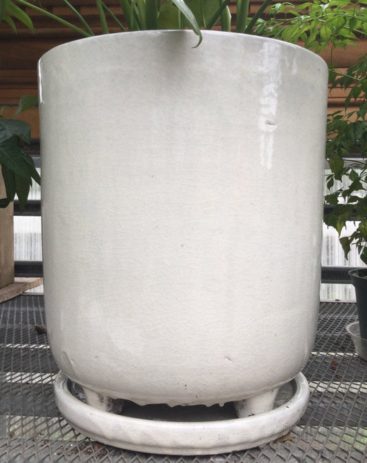 Footed planter White 11"
