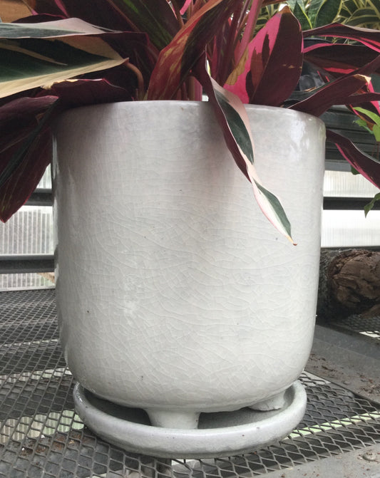 Footed planter White 9"