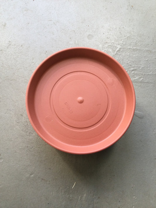 Prima Saucer Clay 8"