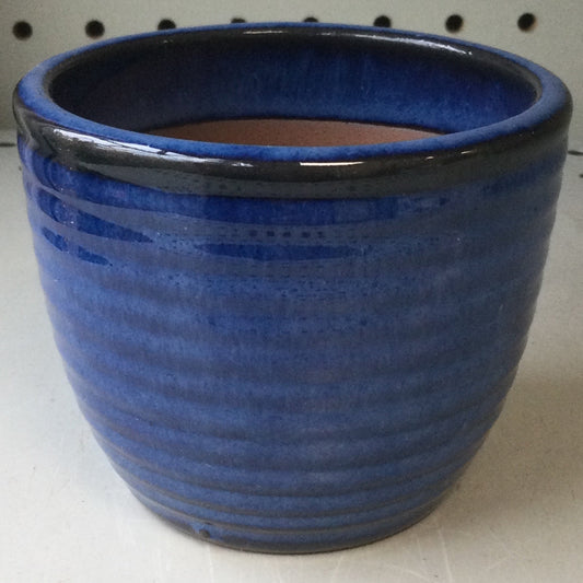 orcus succulent planter 3.8' Dk blue