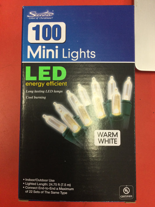 100 LED M5 WW
