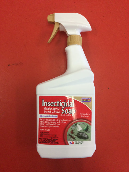 Bonide Insecticidal soap