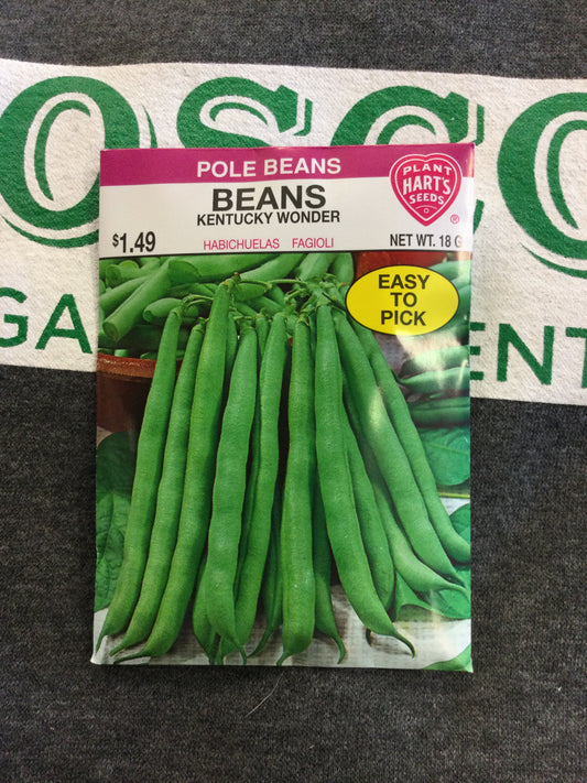 Bean Kentucky Wonder