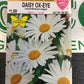 Daisy Ox-Eye