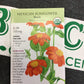 ORG Sunflower Mexican Torch