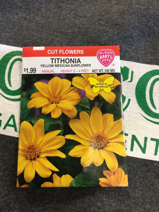 Tithonia Yellow Mexican Sunflower